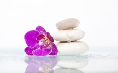 上海上门SPA,让你拥有健康身体